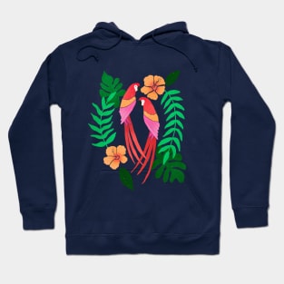 red and green parrots Hoodie